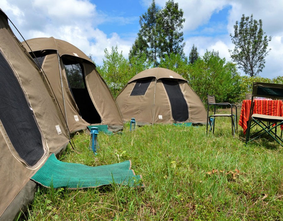 Aaron Judi Byrne Review